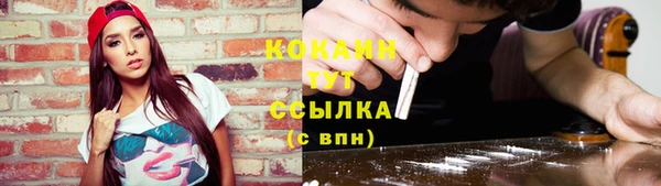apvp Алексин