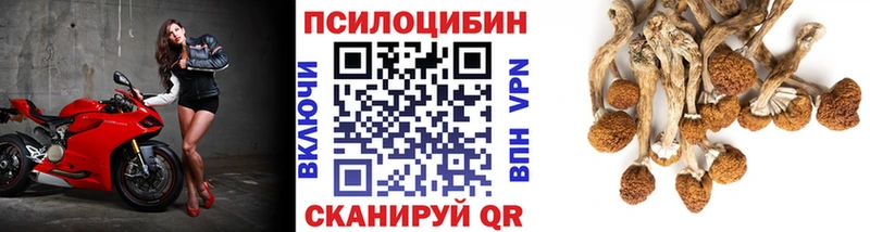 Псилоцибиновые грибы прущие грибы Спас-Деменск